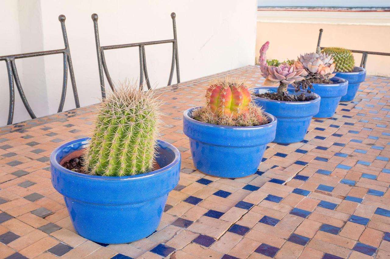 Appartement Atico En El Centro Con Terraza à Cadix Extérieur photo